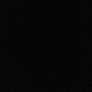 Meet your Posher, Maddison